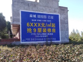 台前品牌公司青睐的墙体广告