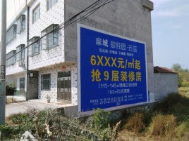 台前墙体广告质量分析