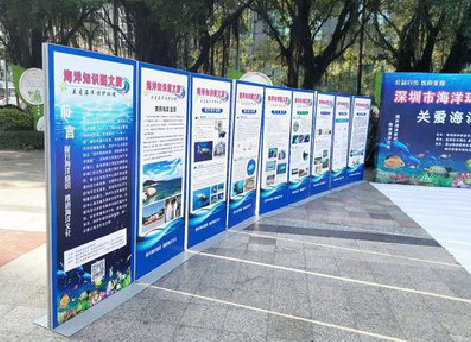 台前KT板的种类和知识。